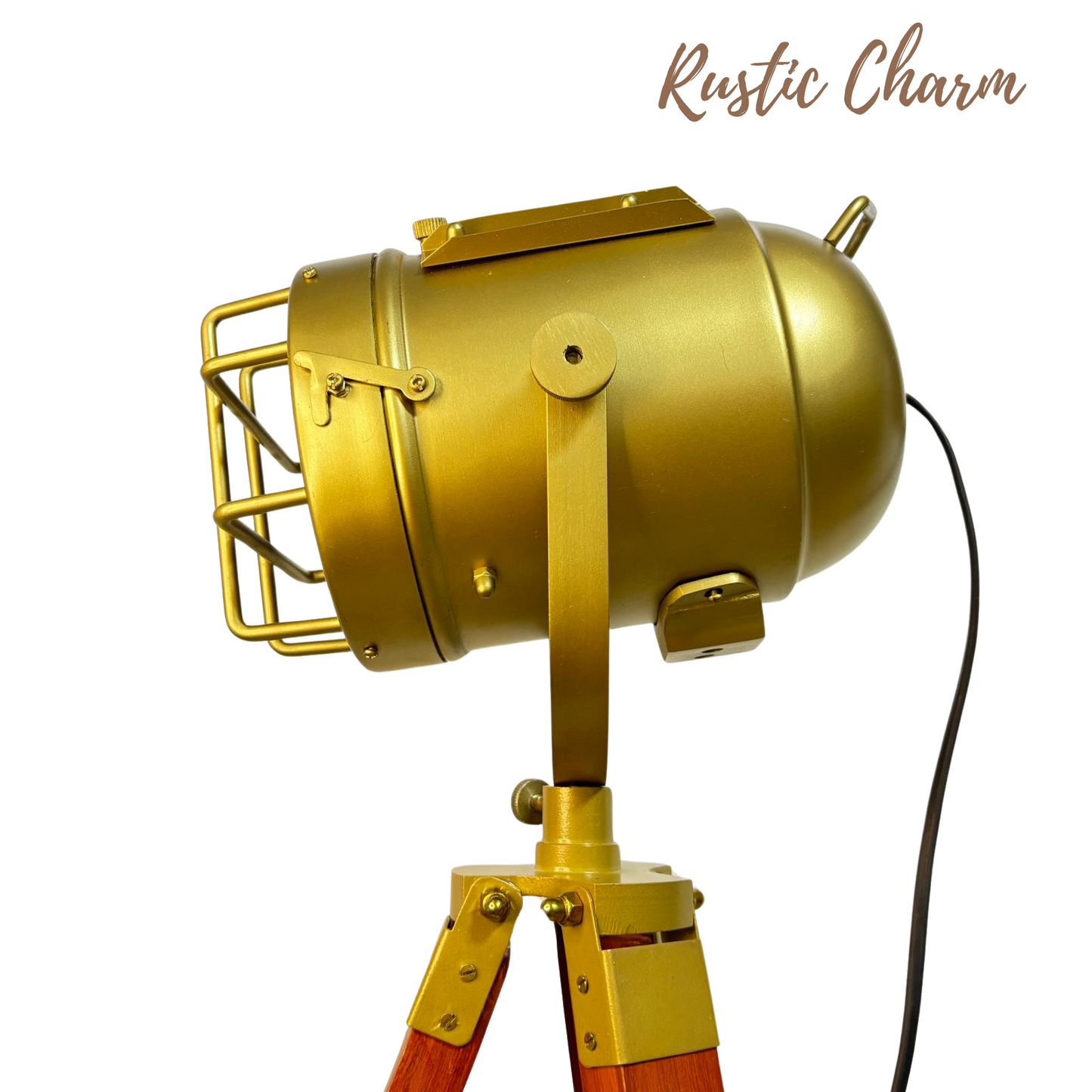 Tripod Spotlight